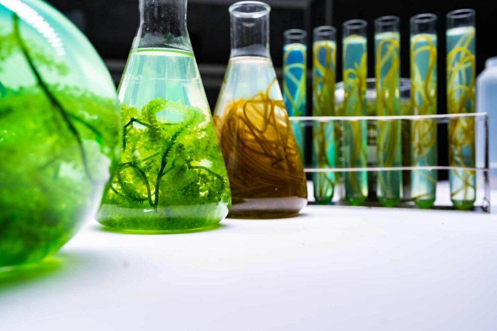 «Introducción a la Ciencia Biológica: Fundamentos, principios y disciplinas»